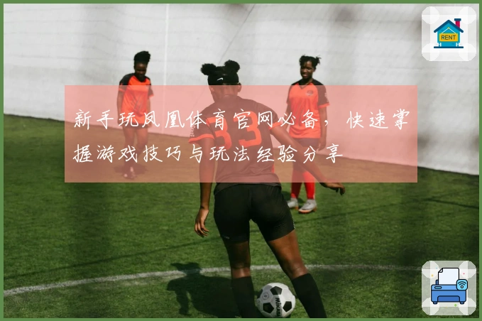 新手玩凤凰体育官网必备，快速掌握游戏技巧与玩法经验分享