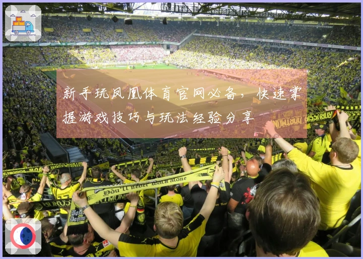 新手玩凤凰体育官网必备，快速掌握游戏技巧与玩法经验分享